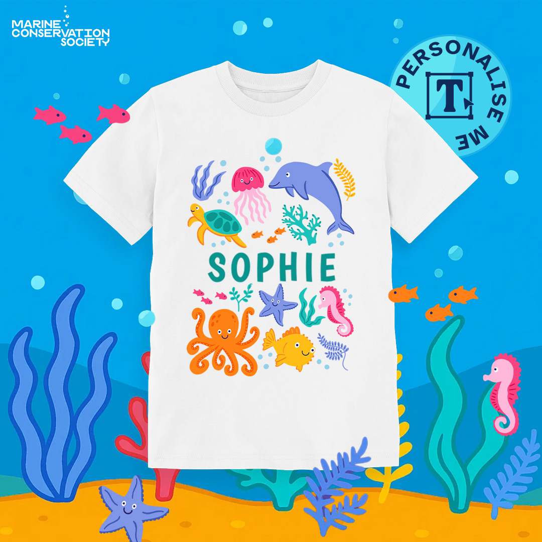 Marine Conservation Society Facebook ad