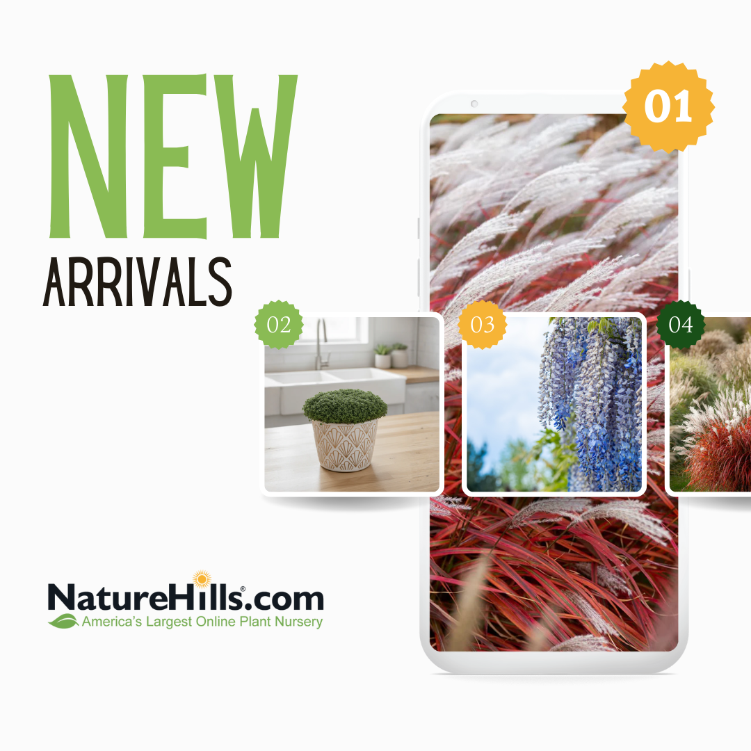 Nature Hills Nursery Facebook ad