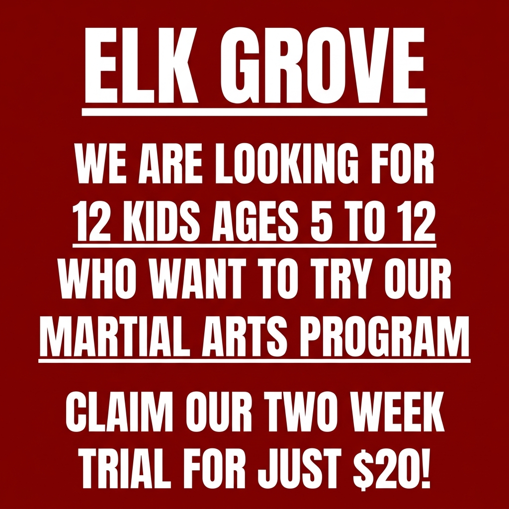 Elk Grove Academy - Family Taekwondo Facebook ad