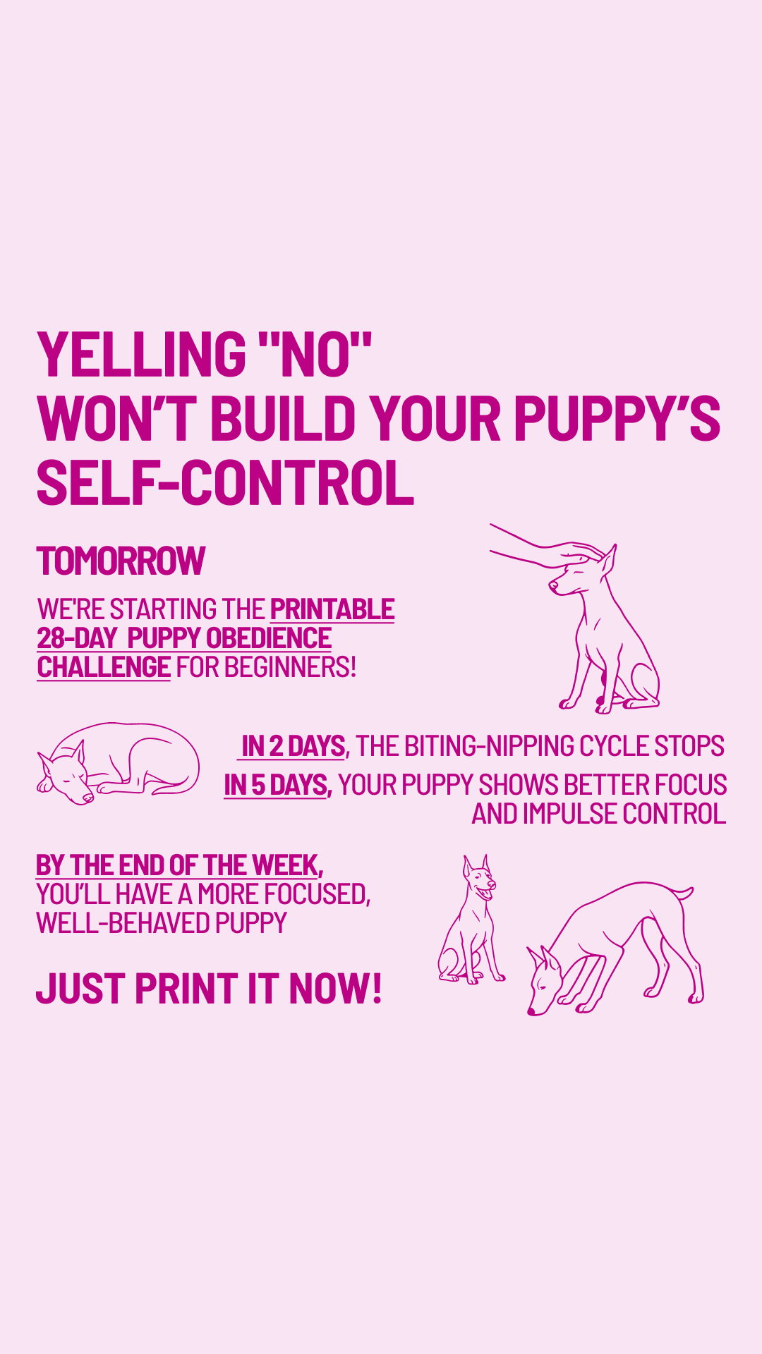 Dog Training & Tips Facebook ad
