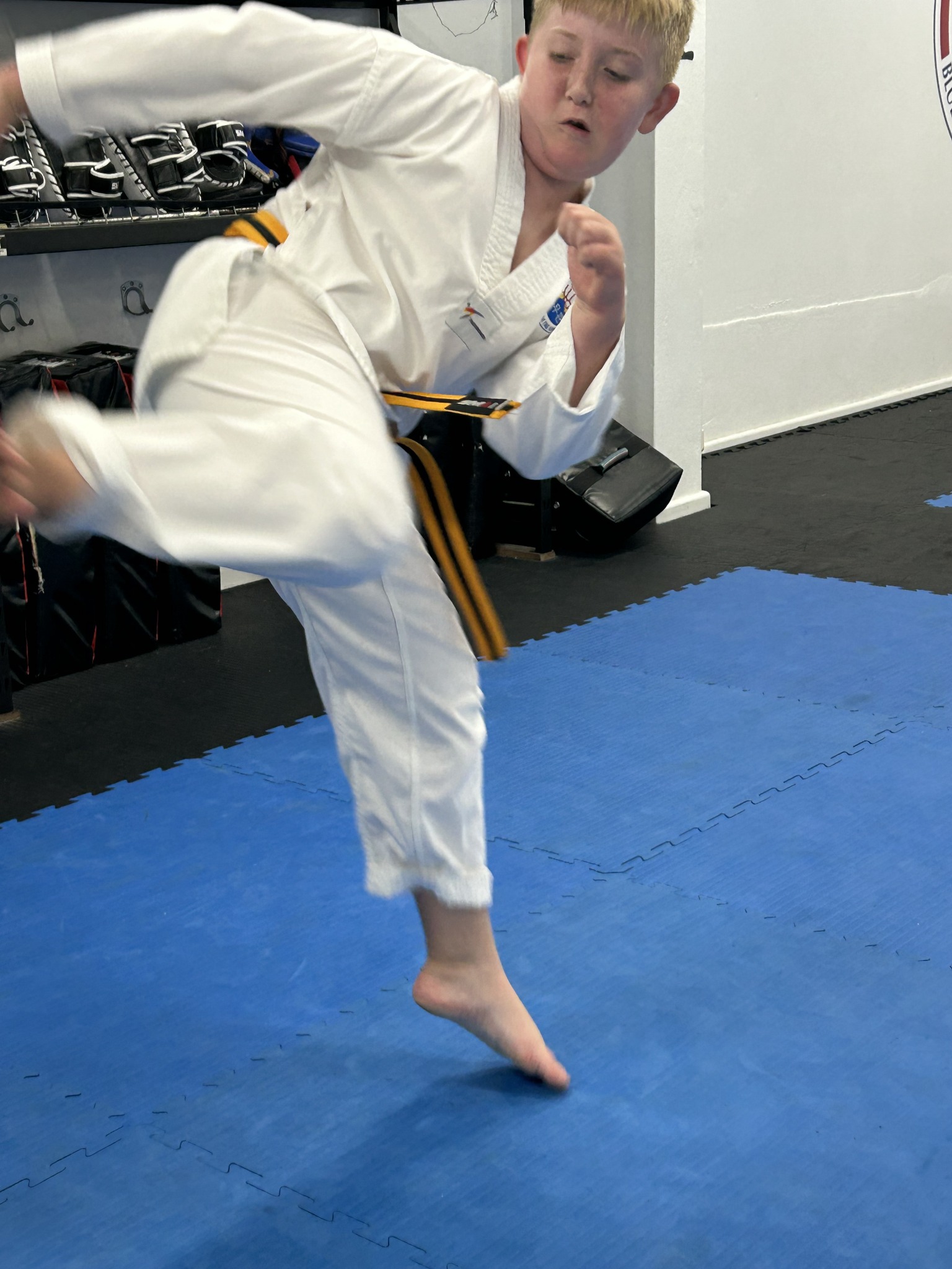 Blue Mountains Taekwondo Facebook ad