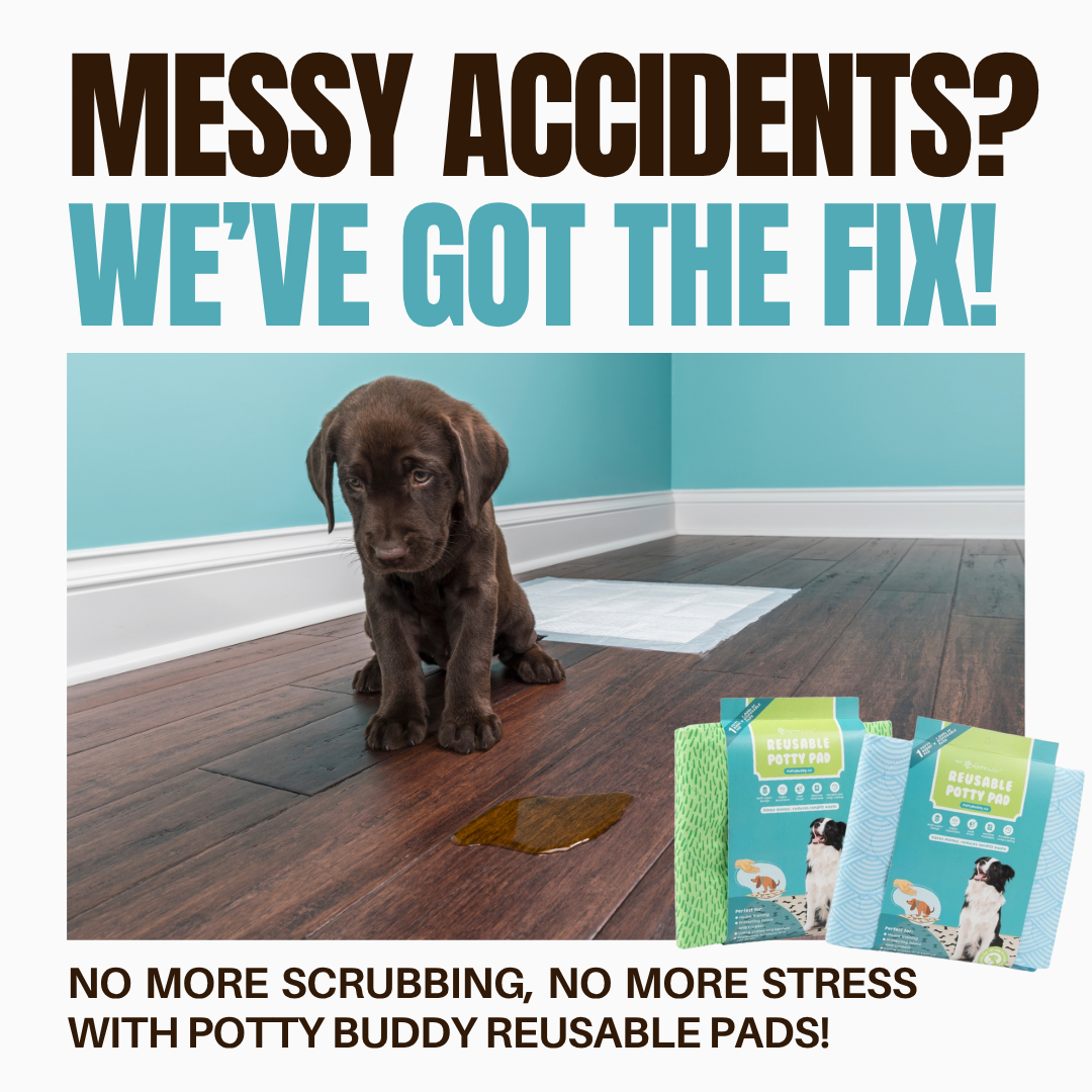Potty Buddy Facebook ad