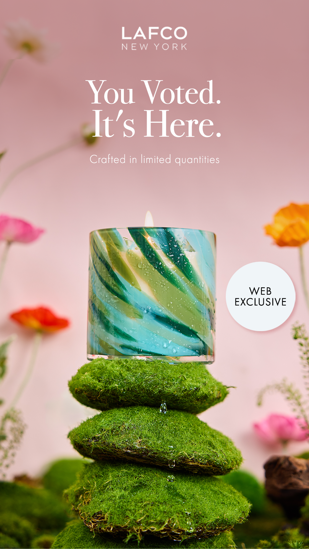 LAFCO New York Facebook ad