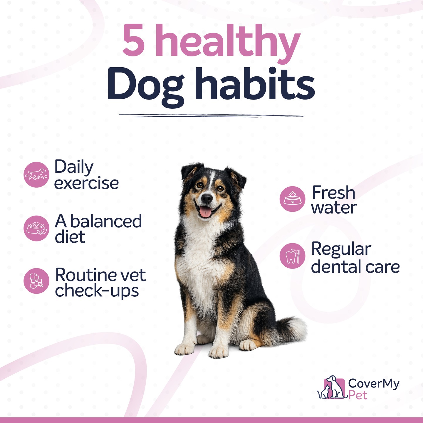 CoverMy Pet Australia Facebook ad: Vet Fee Dog Insurance | CoverMy Pet Insurance Australia