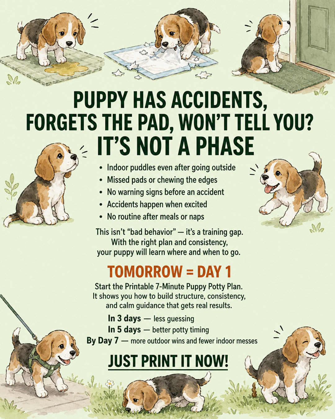 Ben Your Puppy Trainer Facebook ad