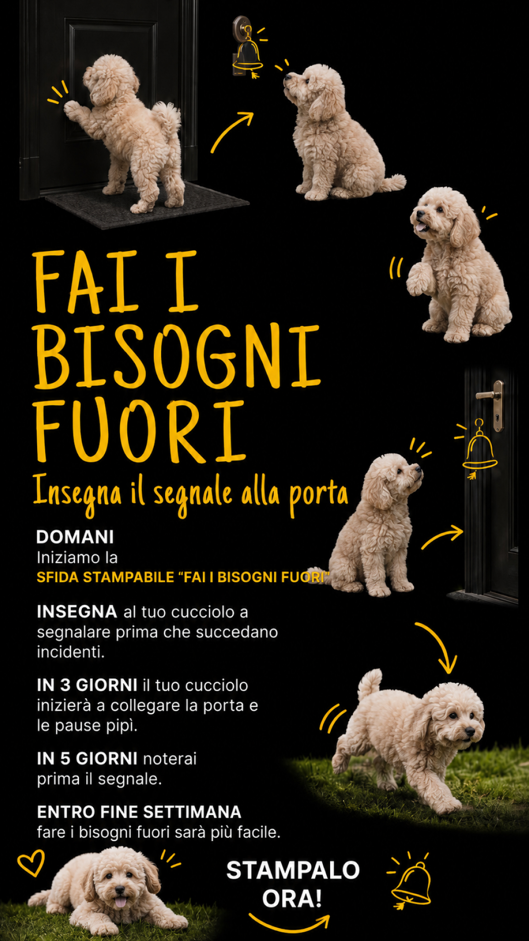 Ben Your Puppy Trainer Facebook ad