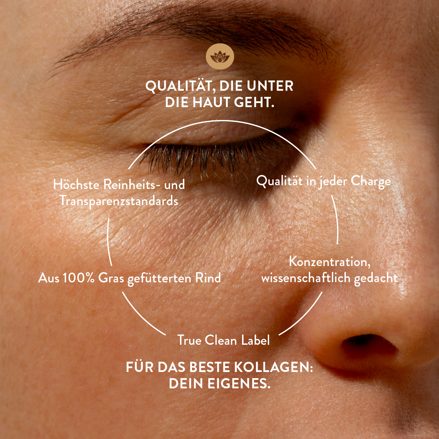 Sunday Natural Facebook ad