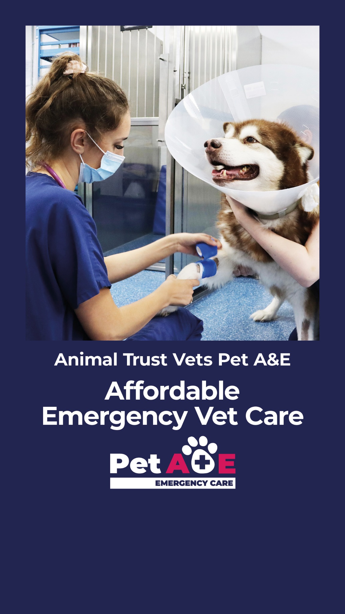 Animal Trust Vets Facebook ad