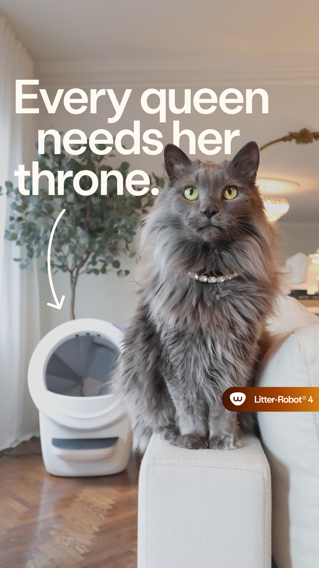 Litter-Robot by Whisker Facebook ad