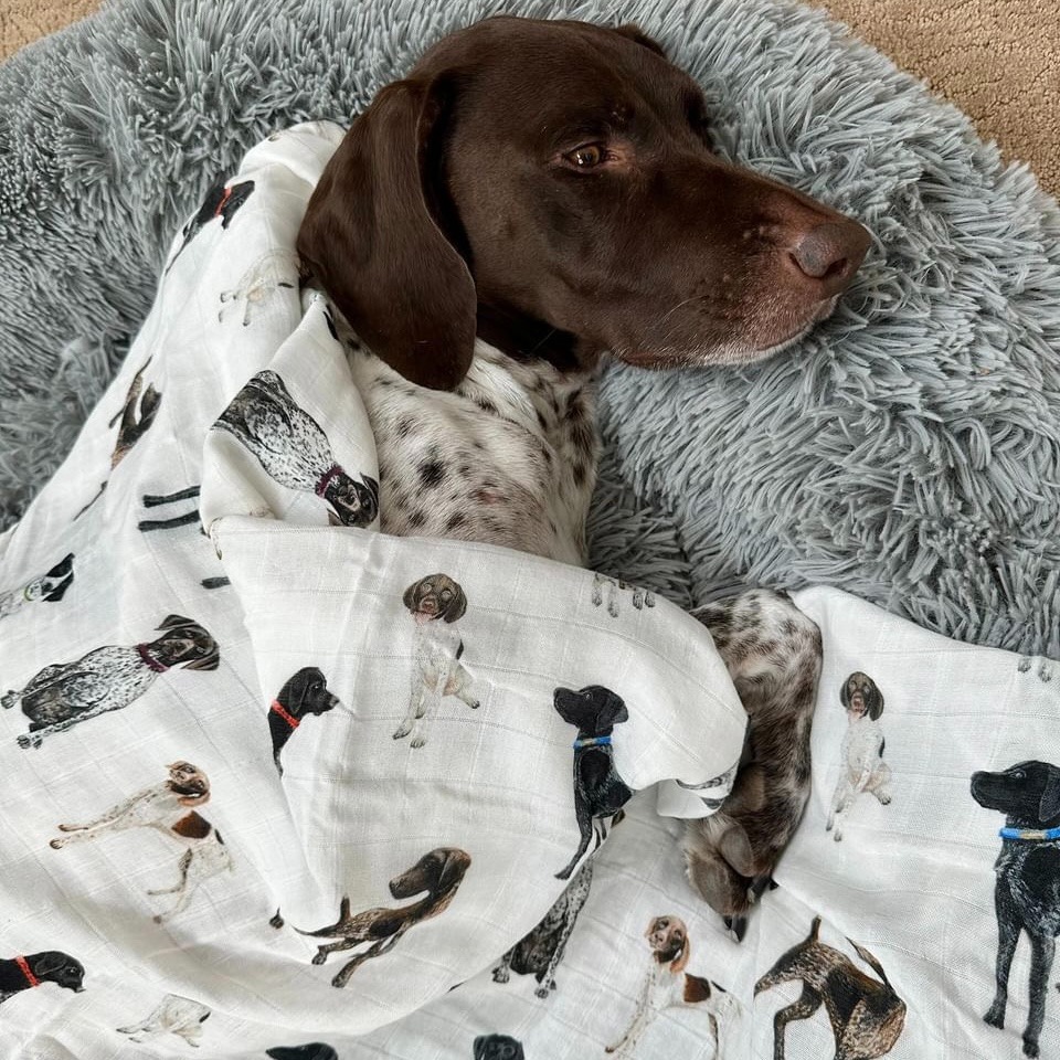 Saltwater Swaddles Facebook ad