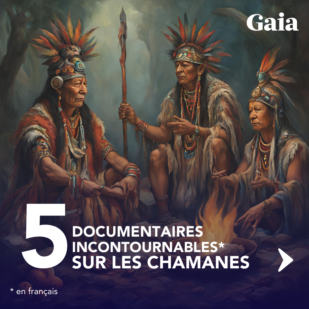 Nous Sommes Gaia Facebook ad