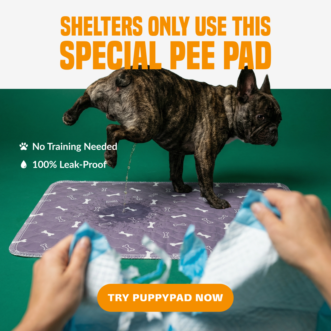 PuppyPad Facebook ad