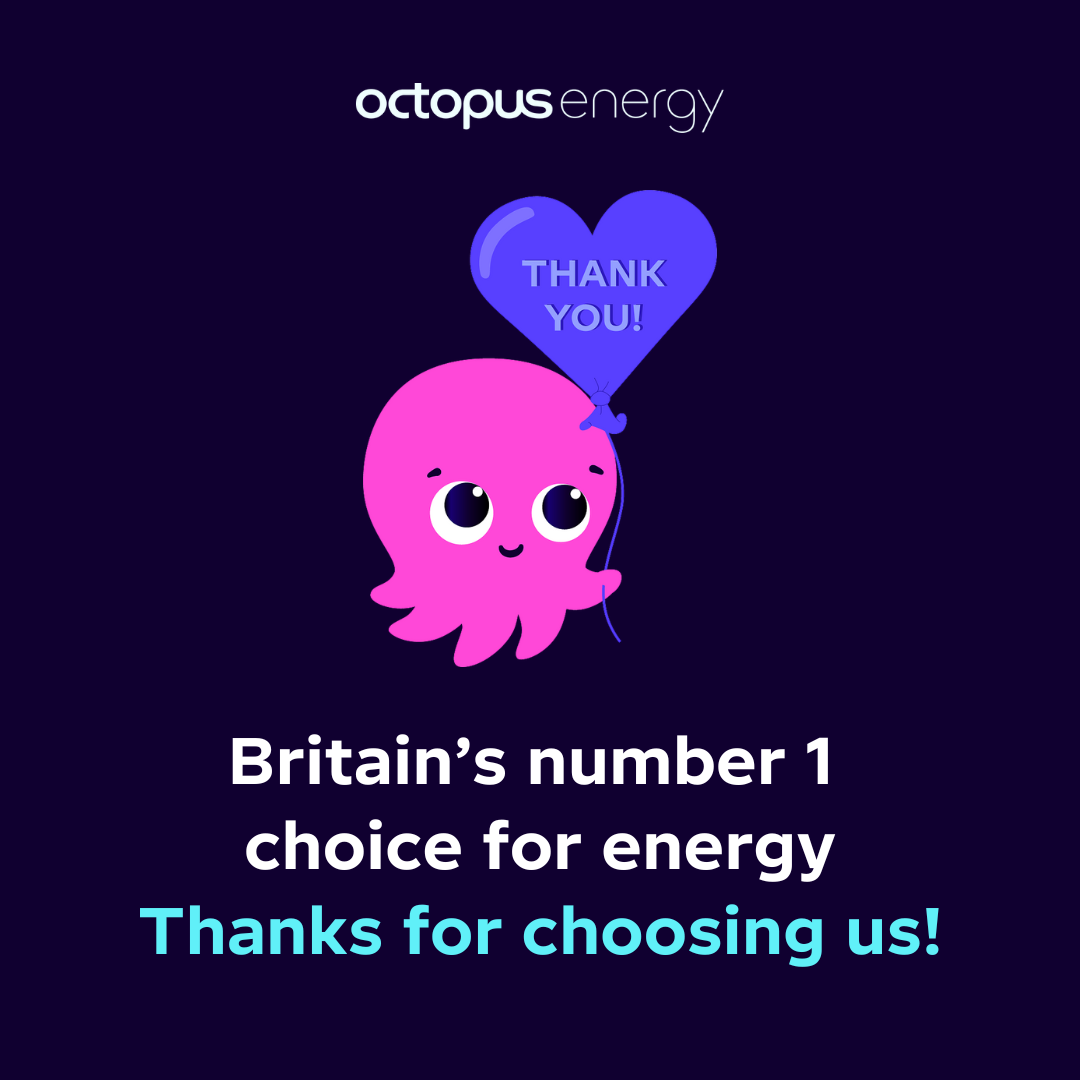 Octopus Energy Facebook ad