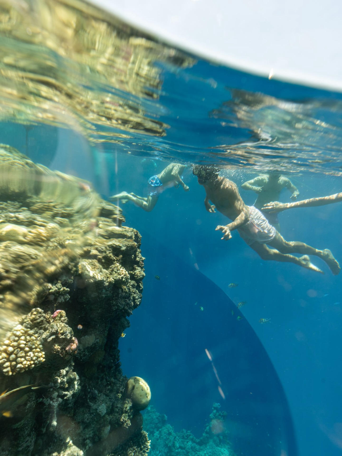 Reef Oasis Resorts Facebook ad: The Red Sea is at its calmest now…