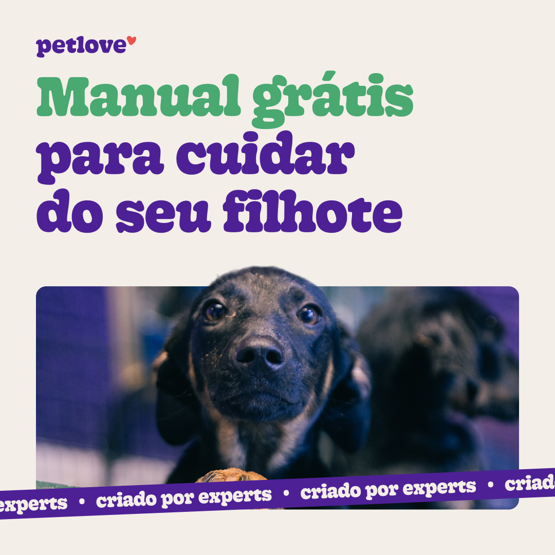 Petlove Facebook ad