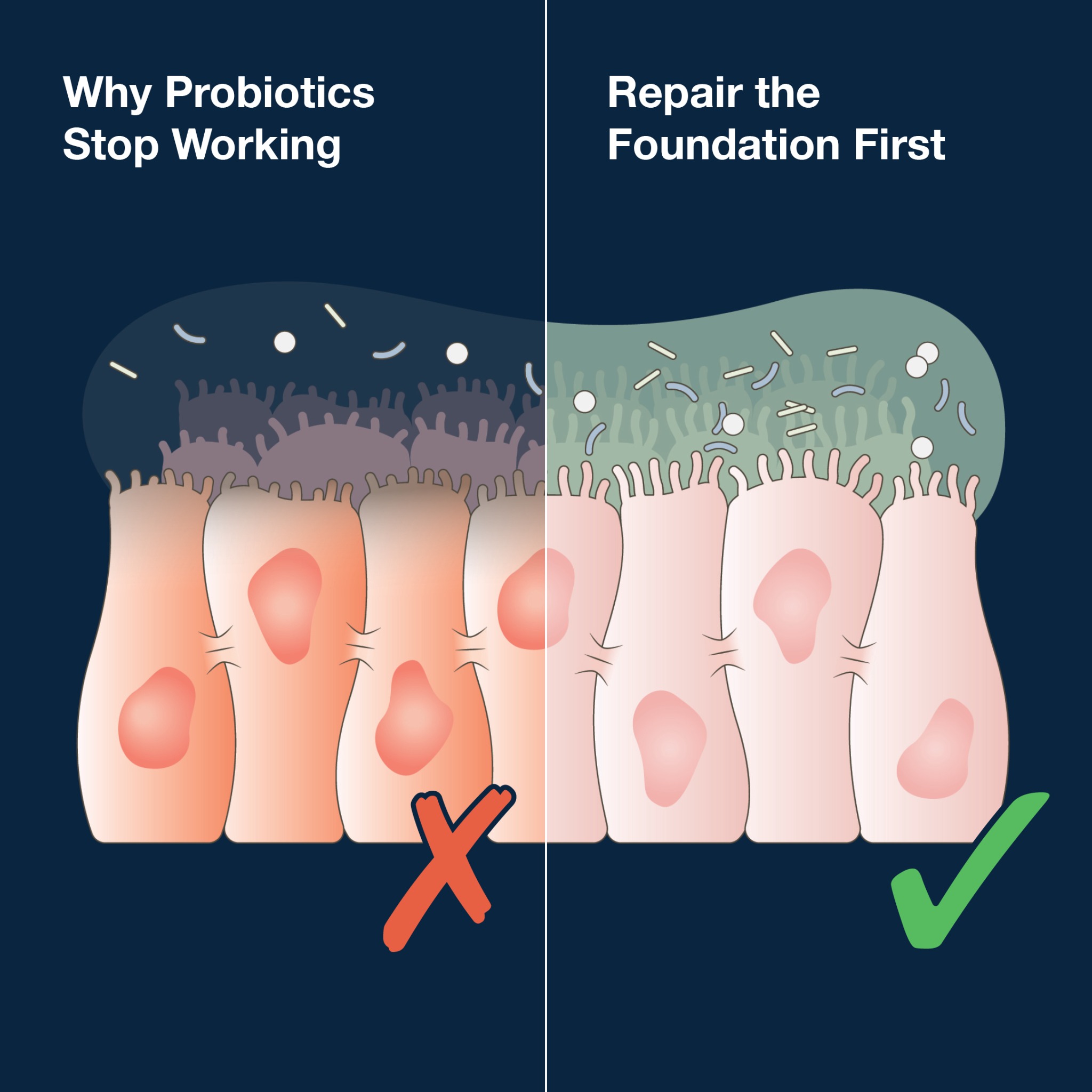 Dr. Myers Facebook ad