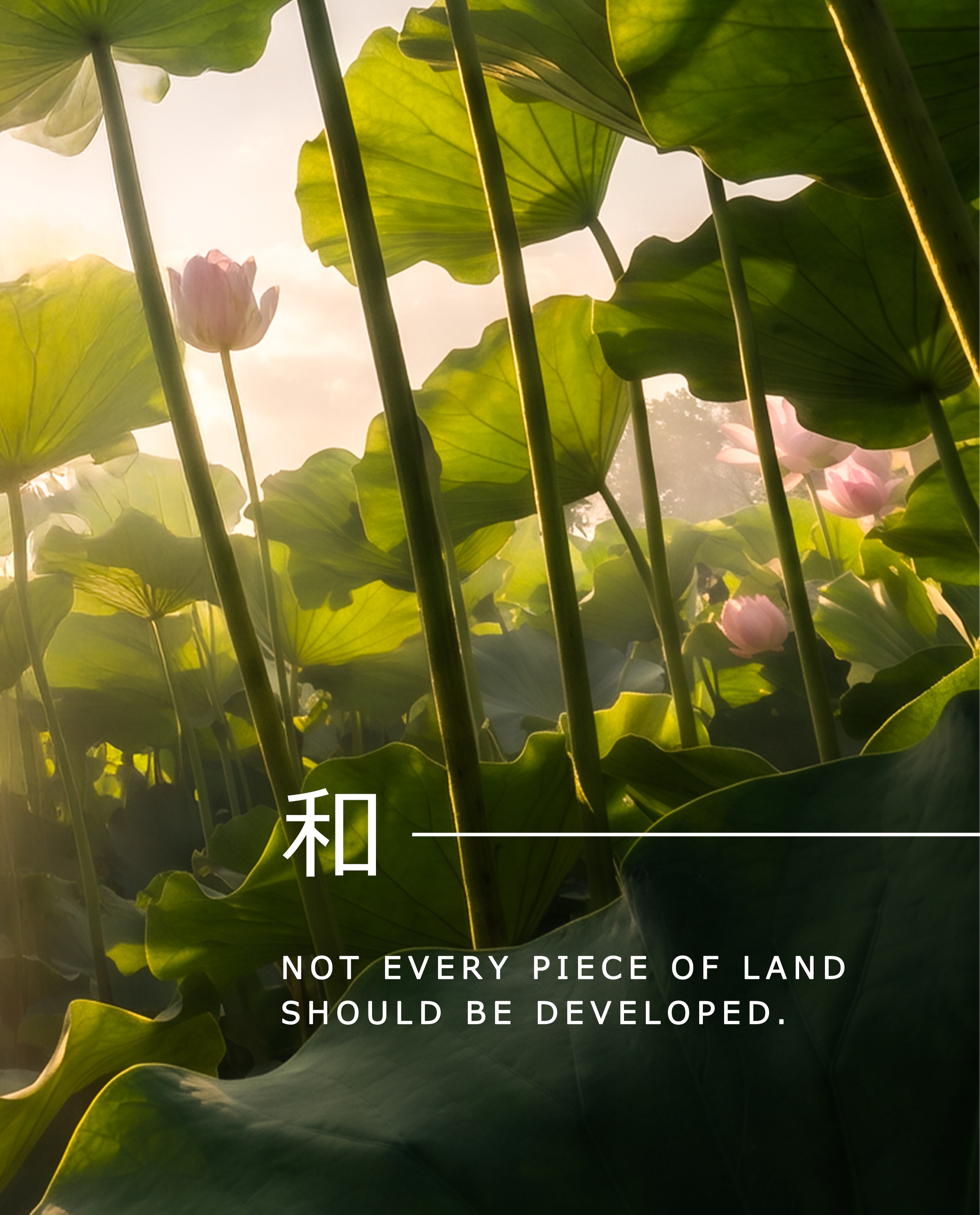 Krisumi Corporation Facebook ad: In Japanese design philosophy, nature is not treated…