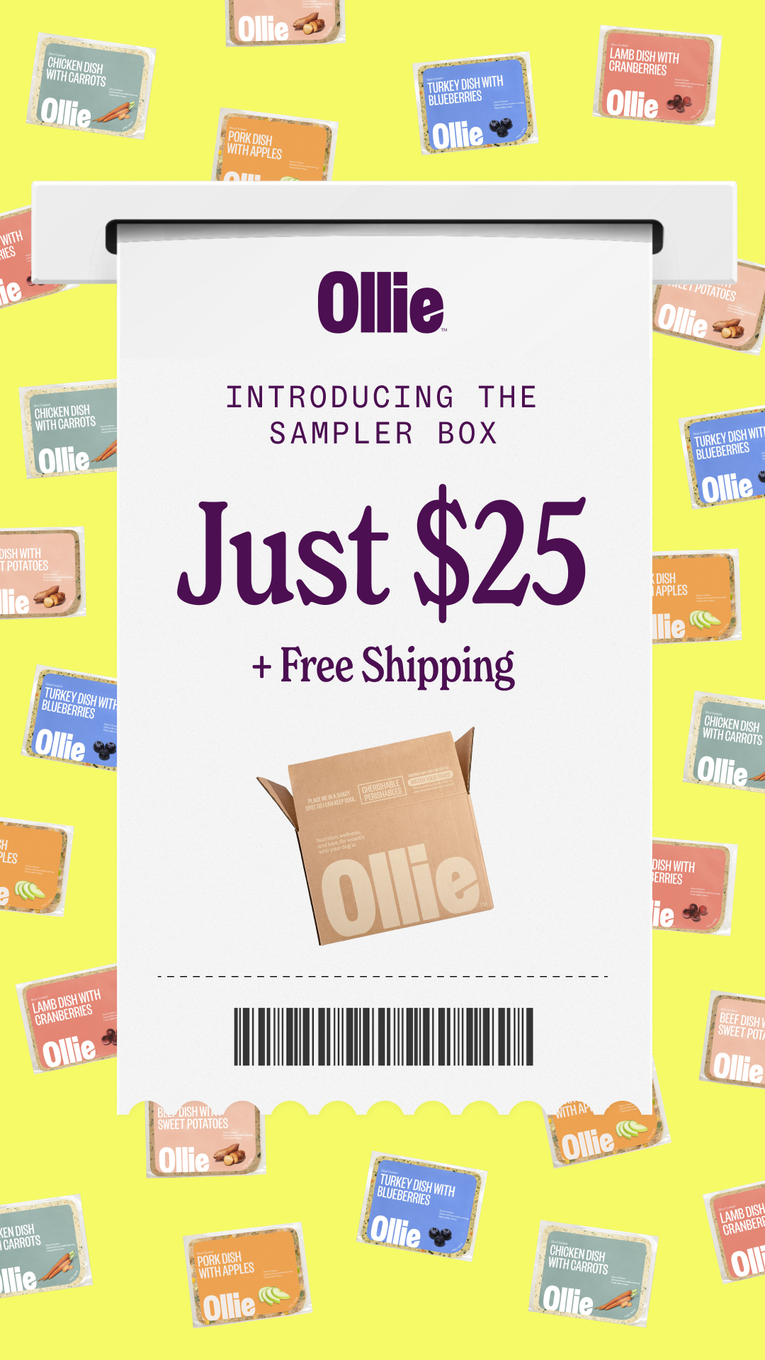 Ollie Facebook ad