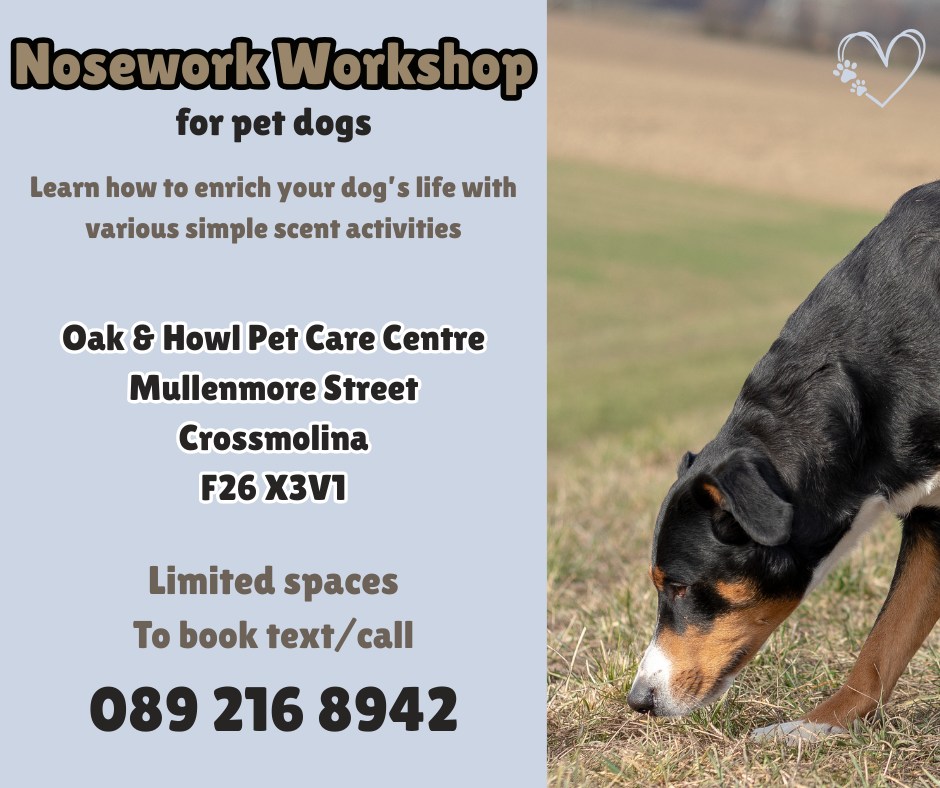 Oak & Howl Dog Behaviour and Training Facebook ad: Dog Nosework Workshops!