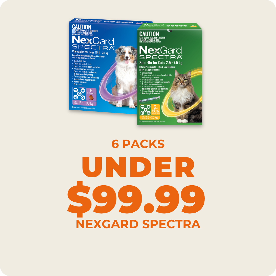 Budget Pet Products Facebook ad