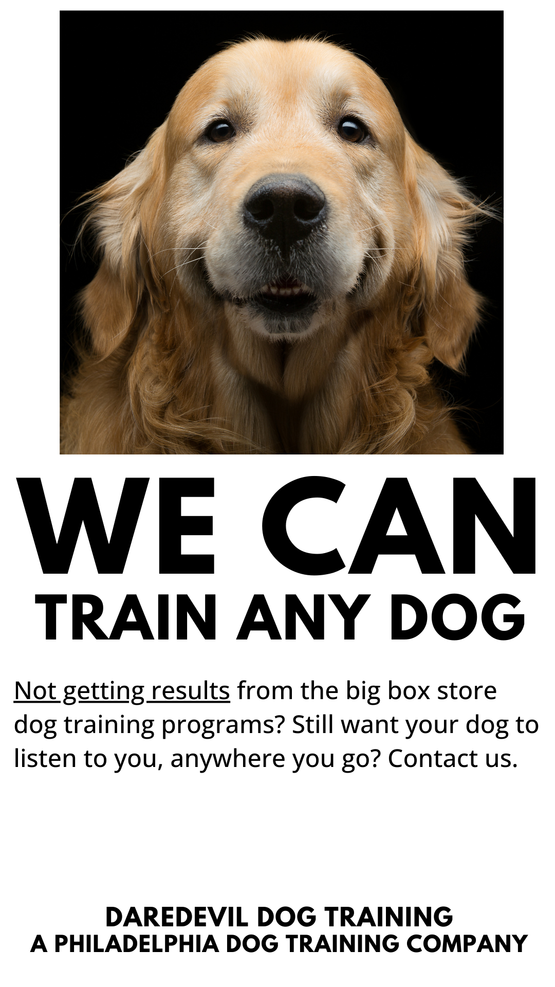 DareDevil Dog Training Facebook ad from Aug 23, 2024