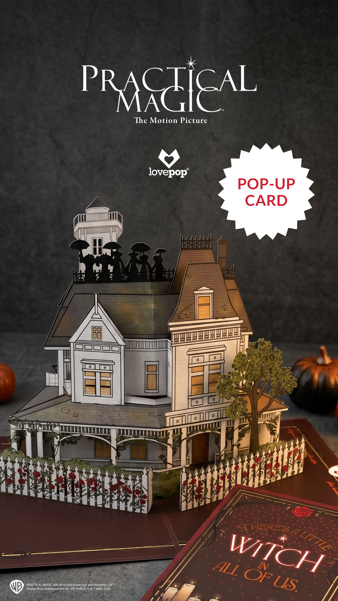 Lovepop Cards Facebook ad from Aug 10, 2026