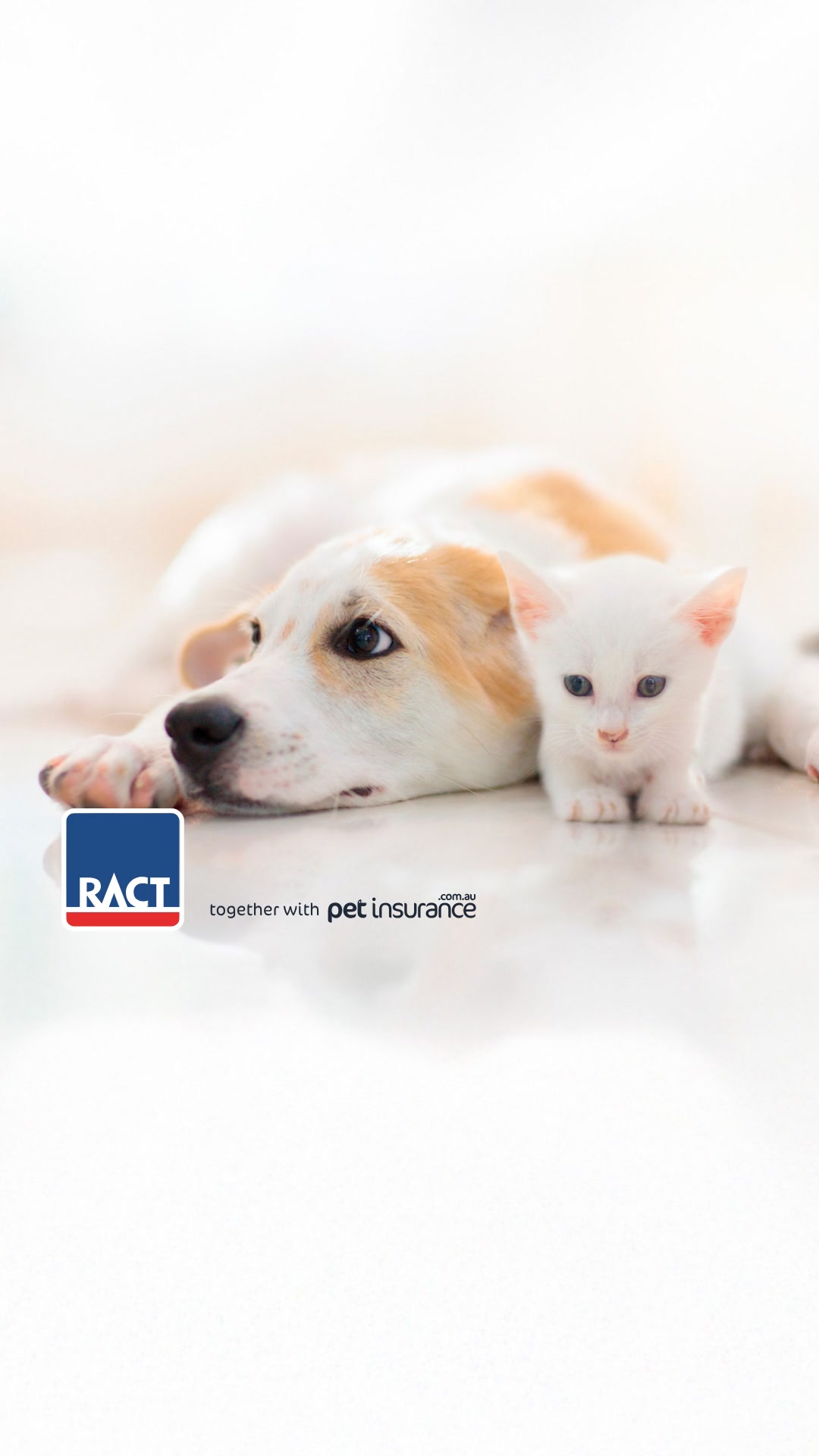 RACT Facebook ad: Save 10% + 1 month**