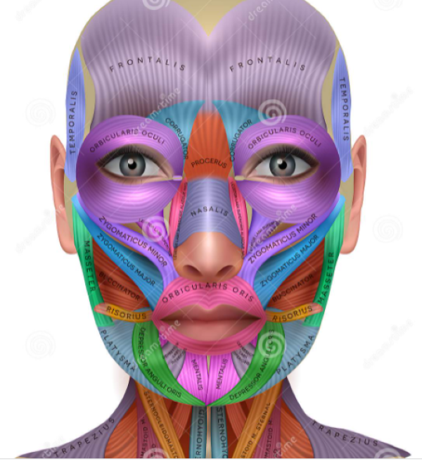 Luminous Face Yoga Facebook ad: Take our FREE ageing habits quiz