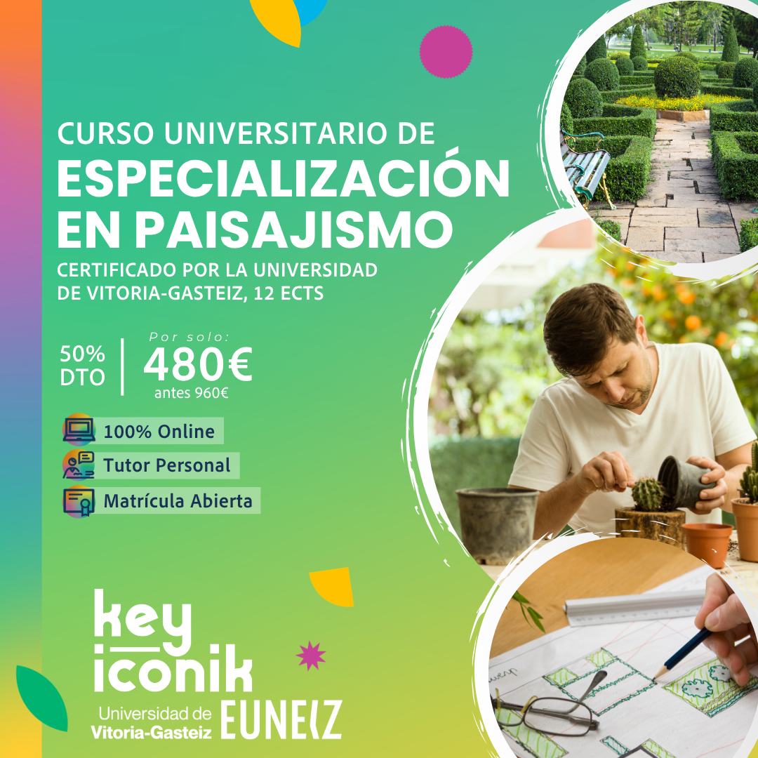 Key Iconik Facebook ad from Jul 6, 2026