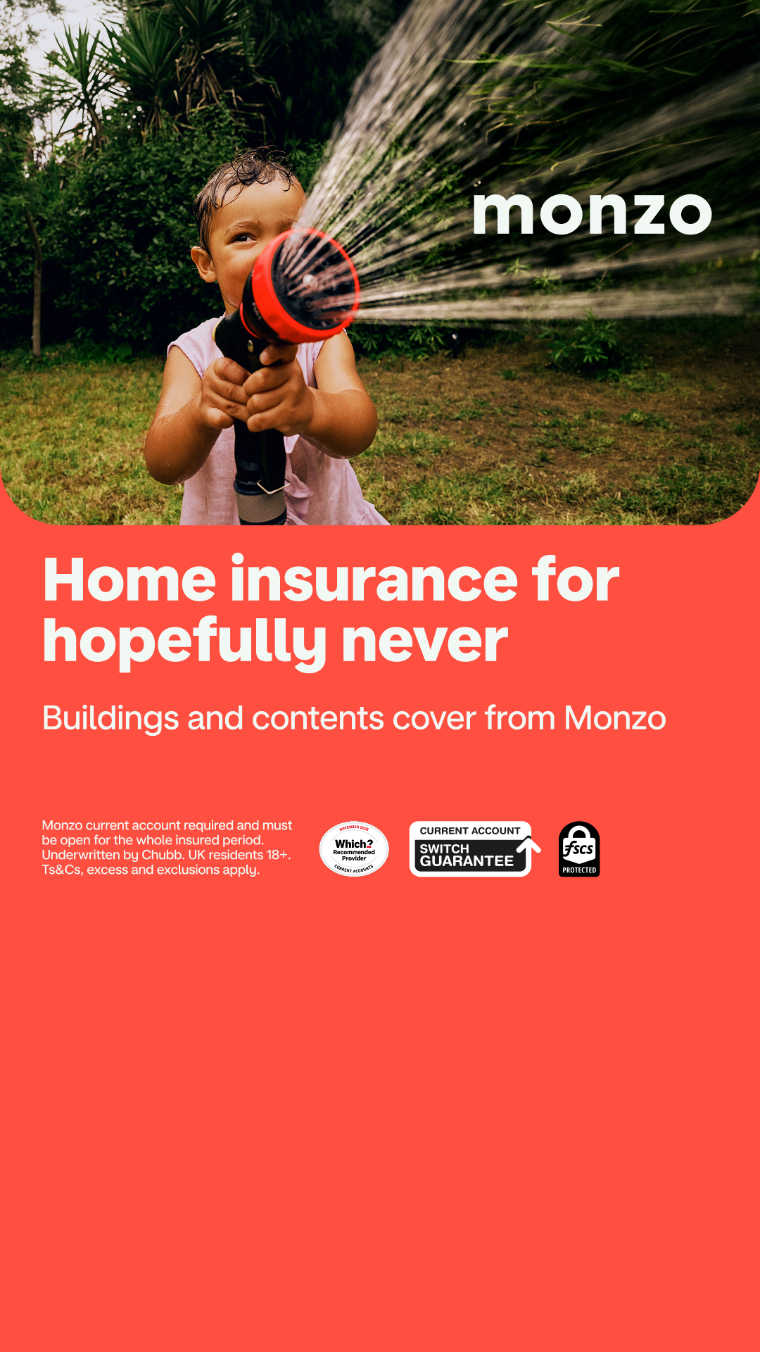 Monzo Facebook ad