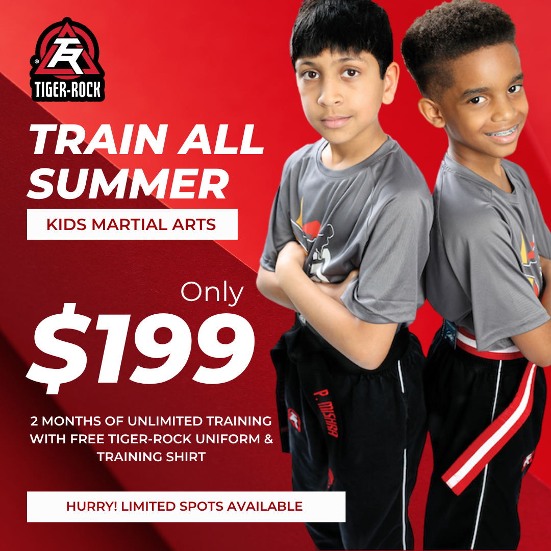 Tiger Rock Martial Arts of Katy South Facebook ad