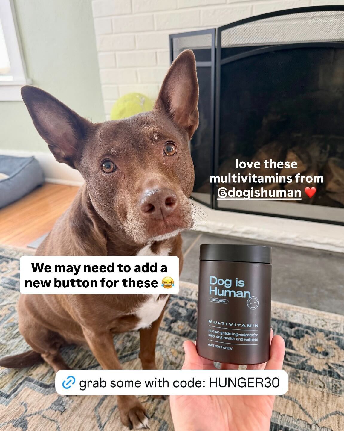 Hunger for Words Facebook ad: Daily Dog Multivitamin, Real Results