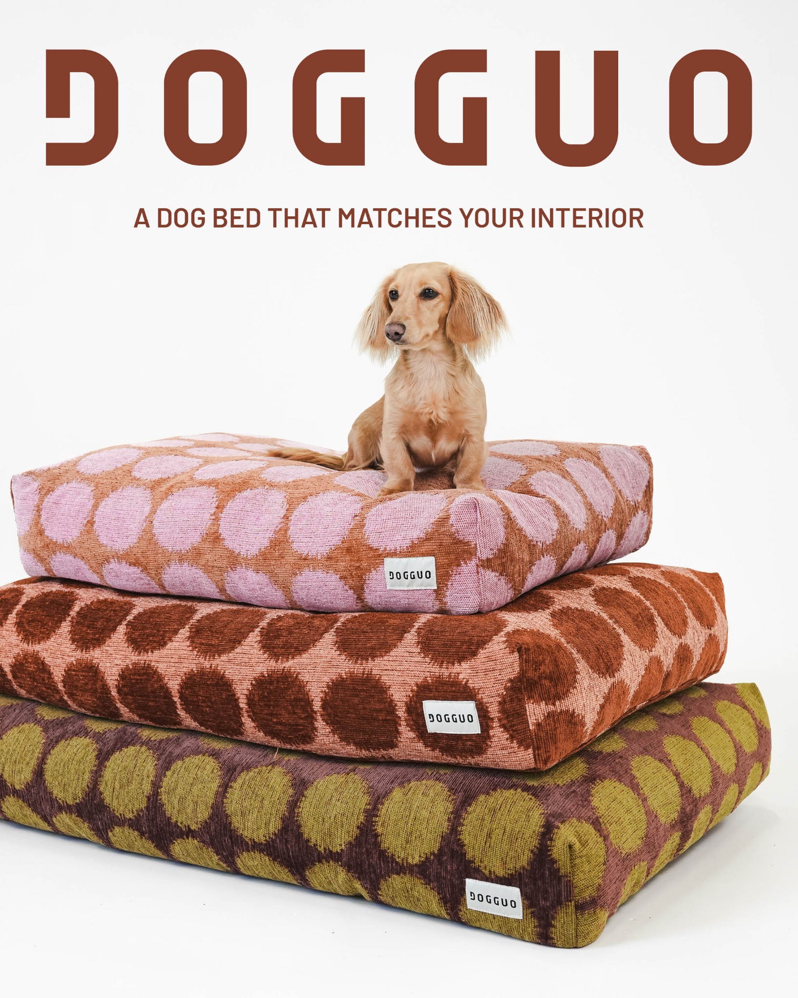 Dogguo Facebook ad