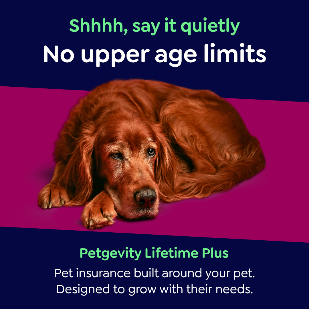 Petgevity UK Facebook ad
