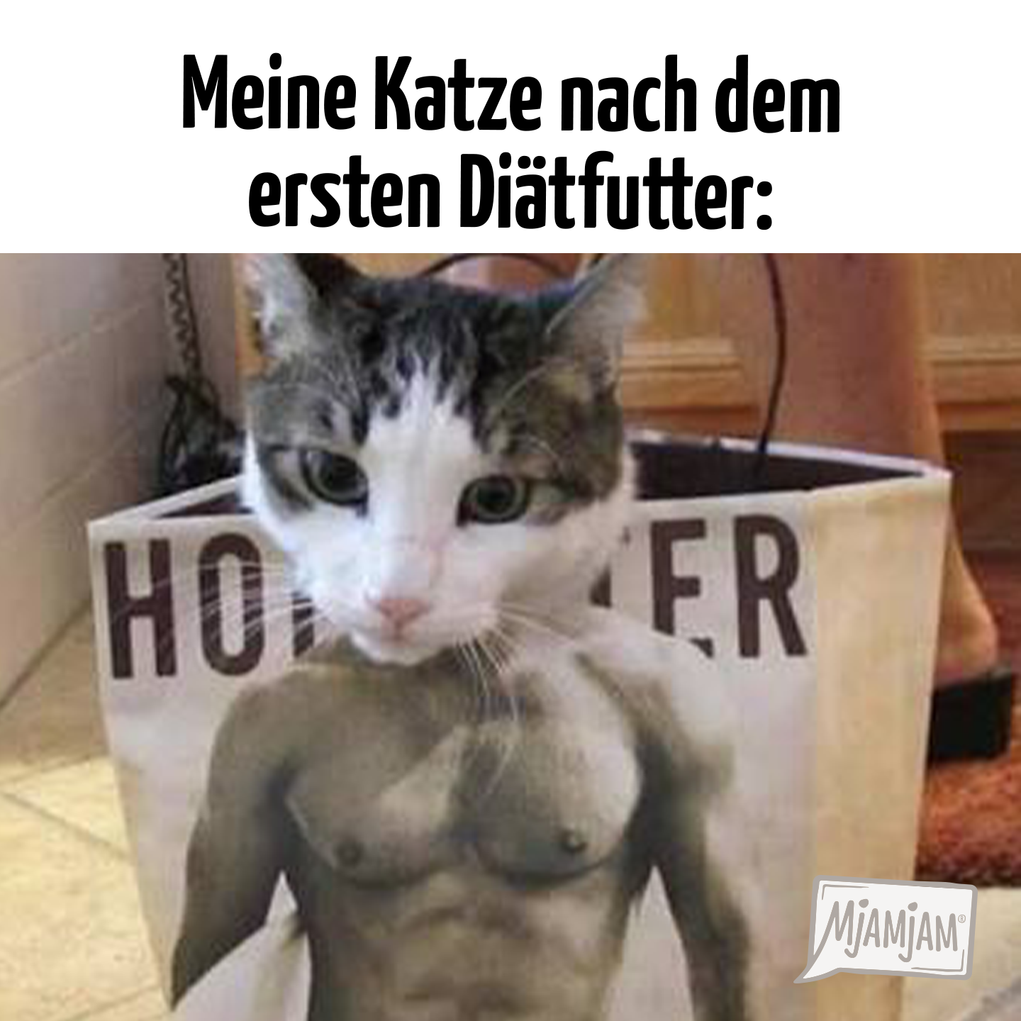 MjAMjAM Petfood Facebook ad: VetCat MjAMjAM-Diätfutter