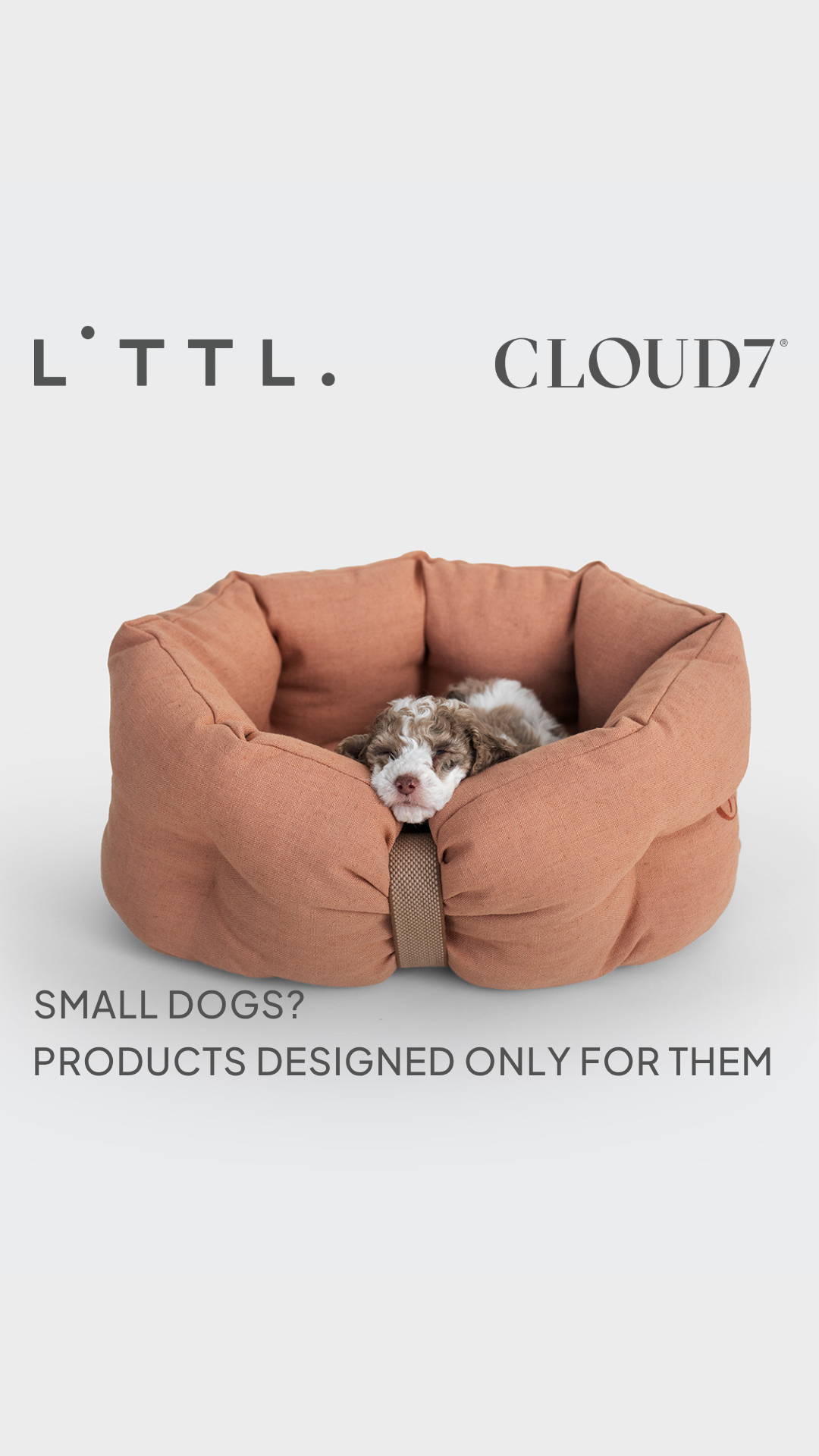 Cloud7 Facebook ad
