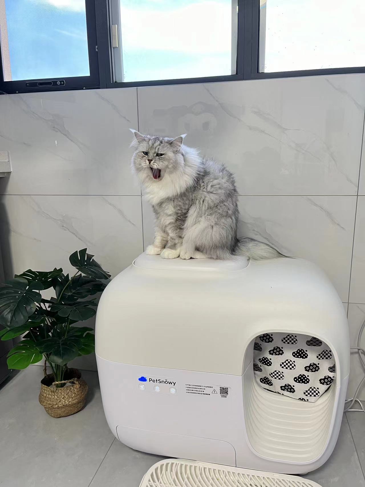 PetSnowy Facebook ad