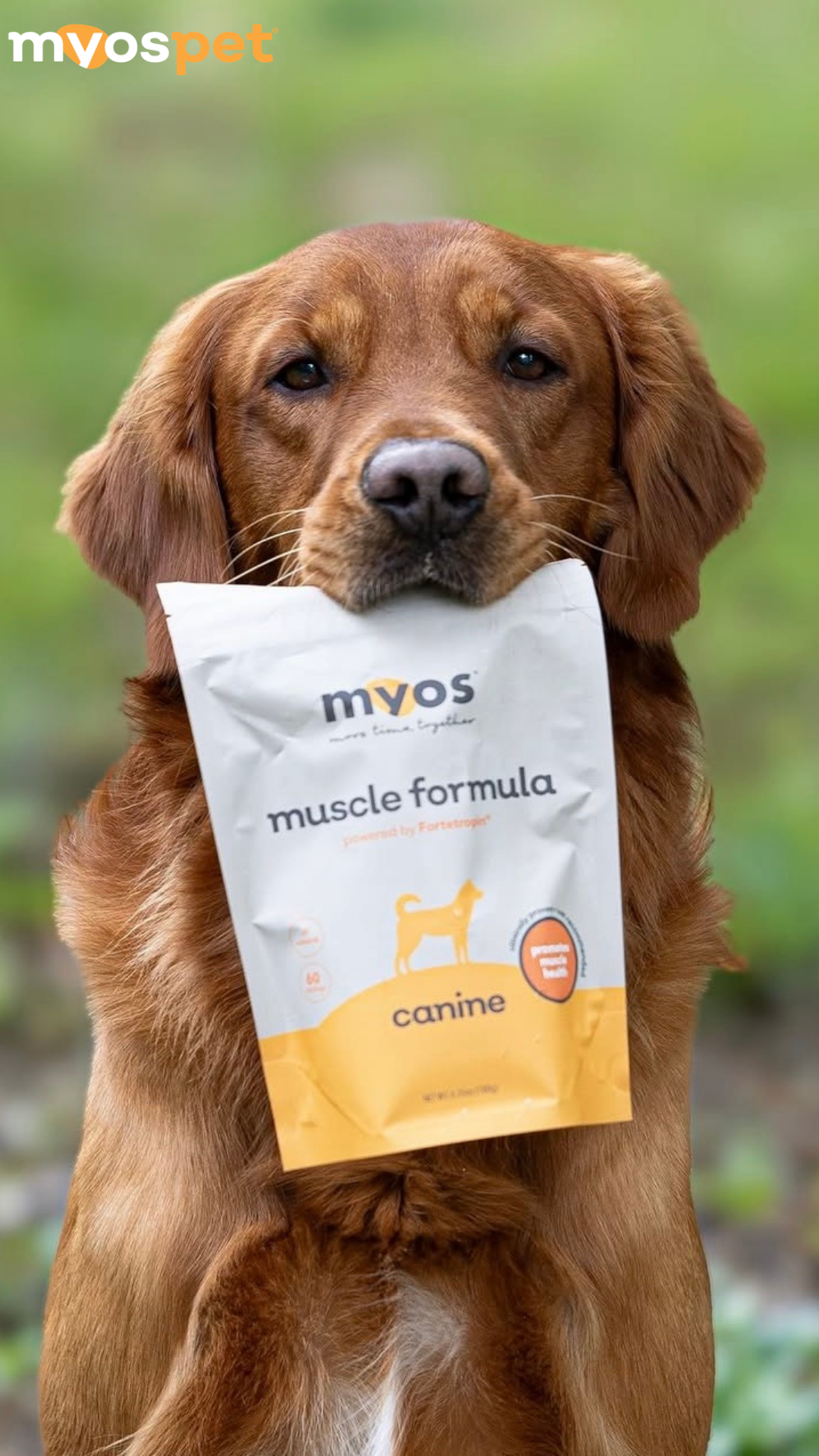 Myos Pet Products Facebook ad
