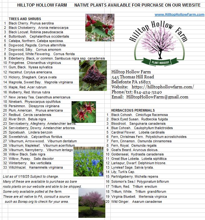 Hilltop Hollow Farm Facebook ad: It is still a great time to order…
