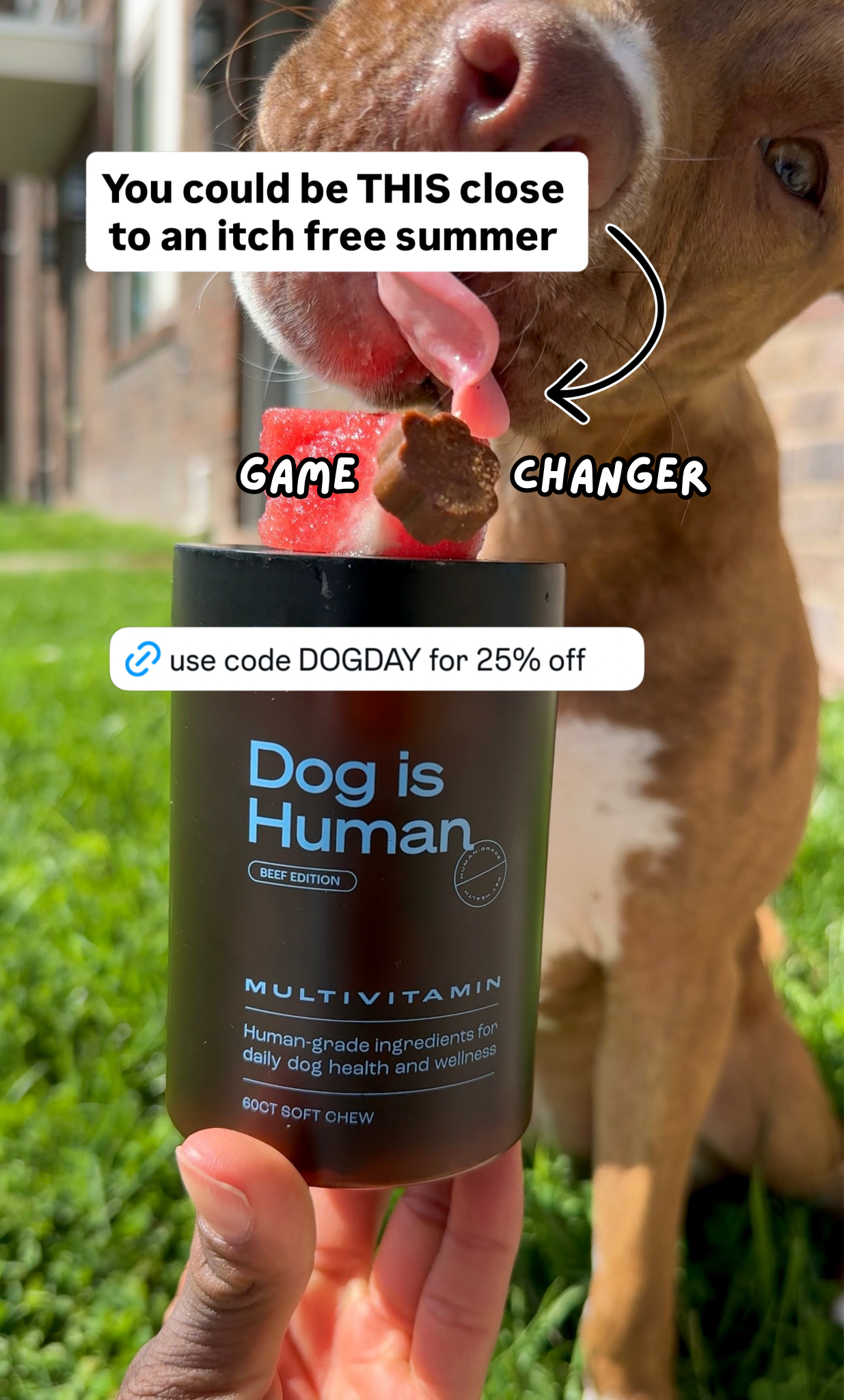 Dog is Human Facebook ad