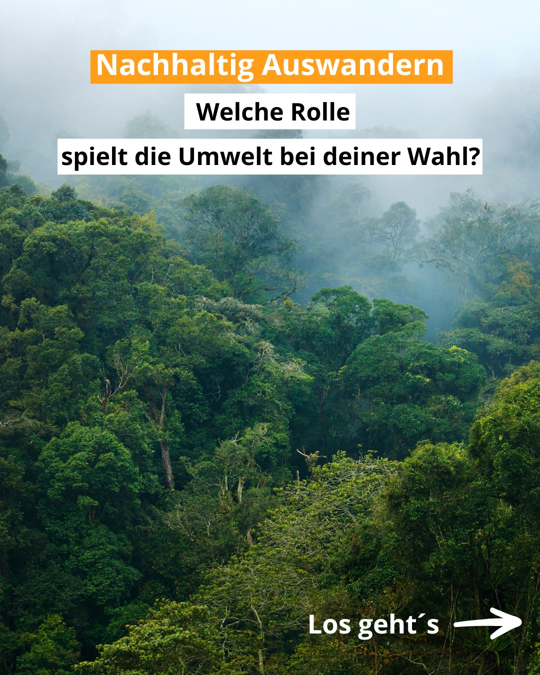 Auslandsexperte BDAE Facebook ad: Welche Kriterien bestimmen die Wahl der Heimat?