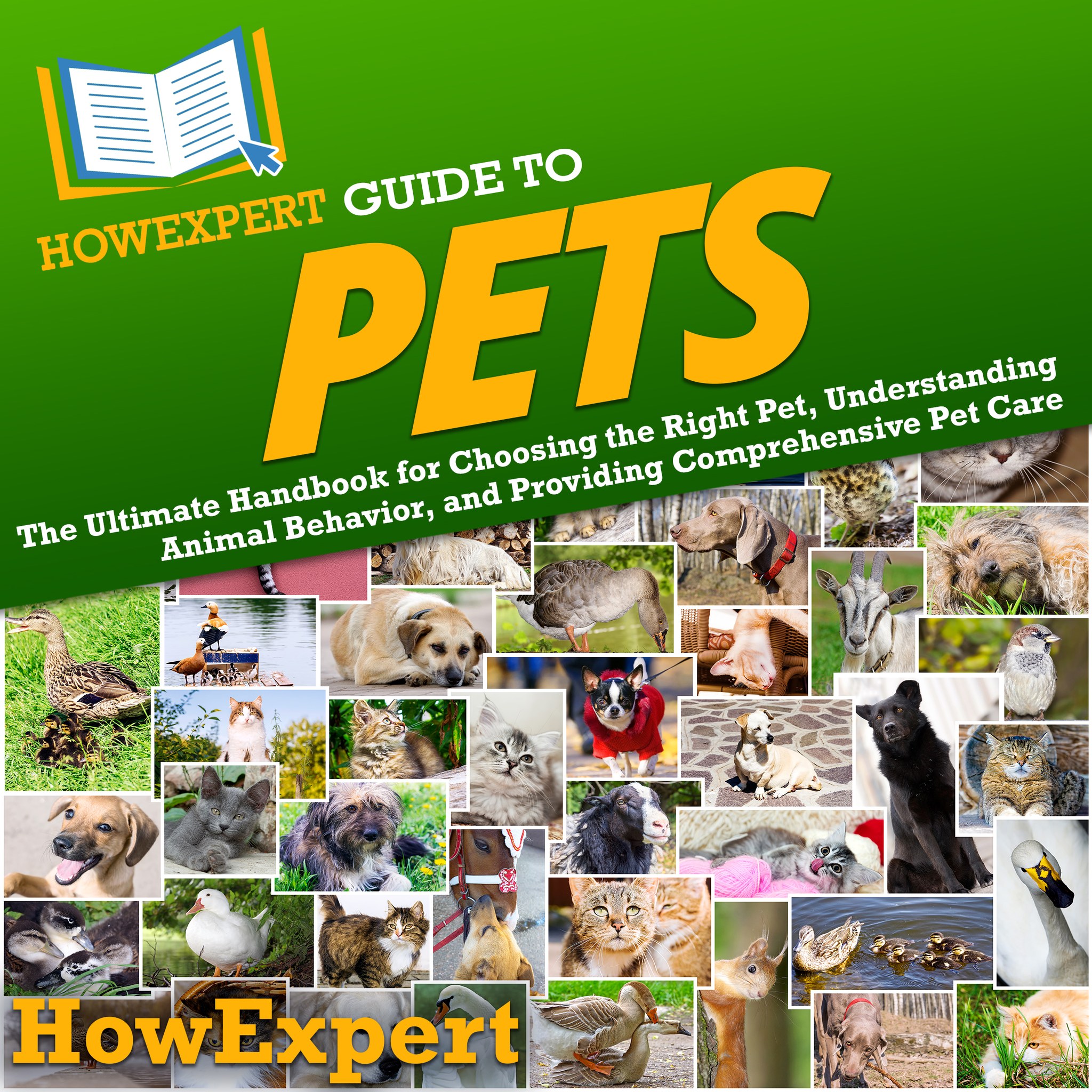 HowExpert Facebook ad
