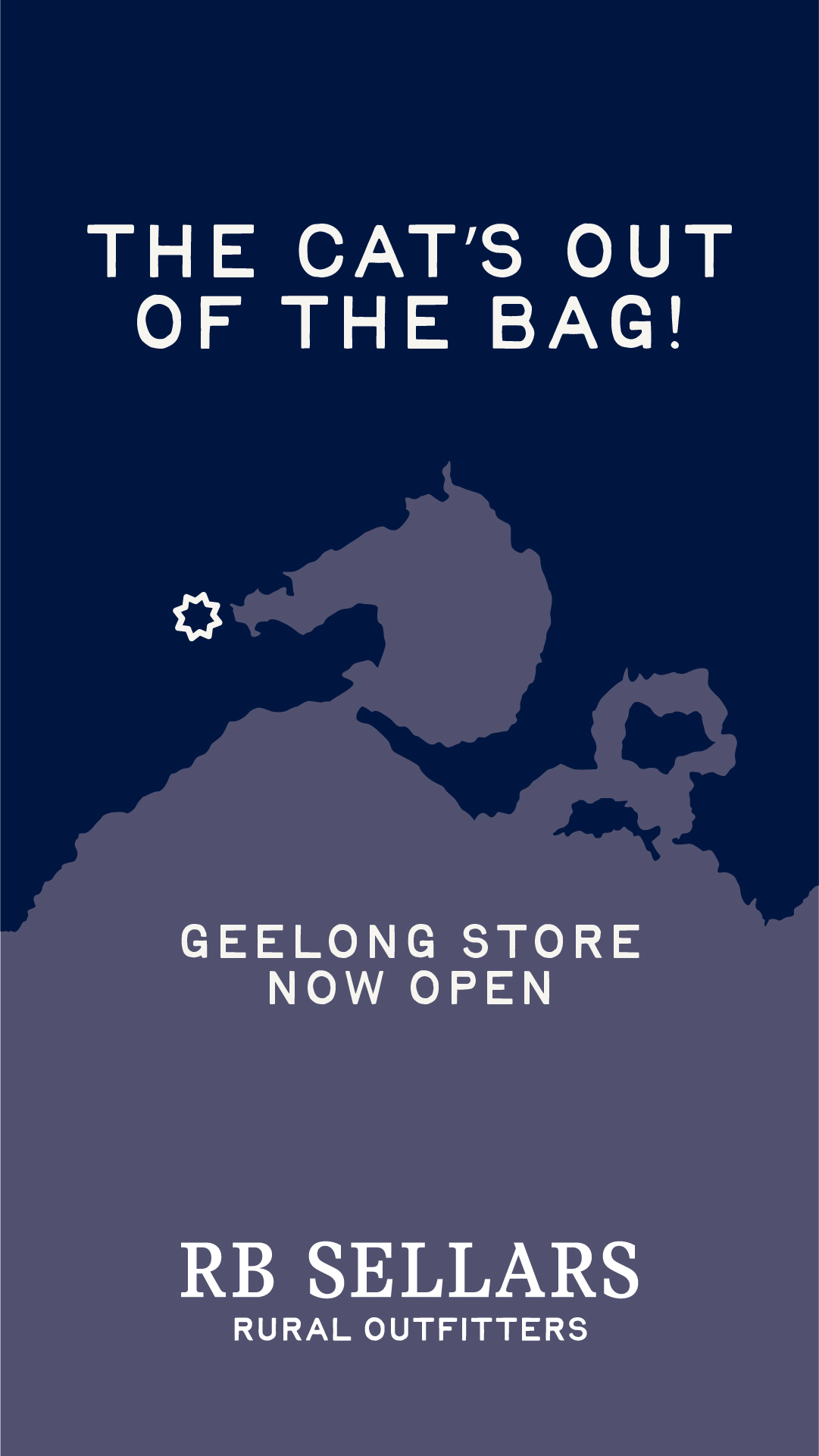 RB Sellars Facebook ad