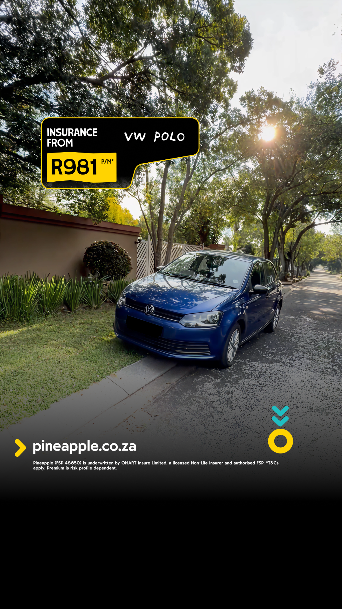 Pineapple Facebook ad