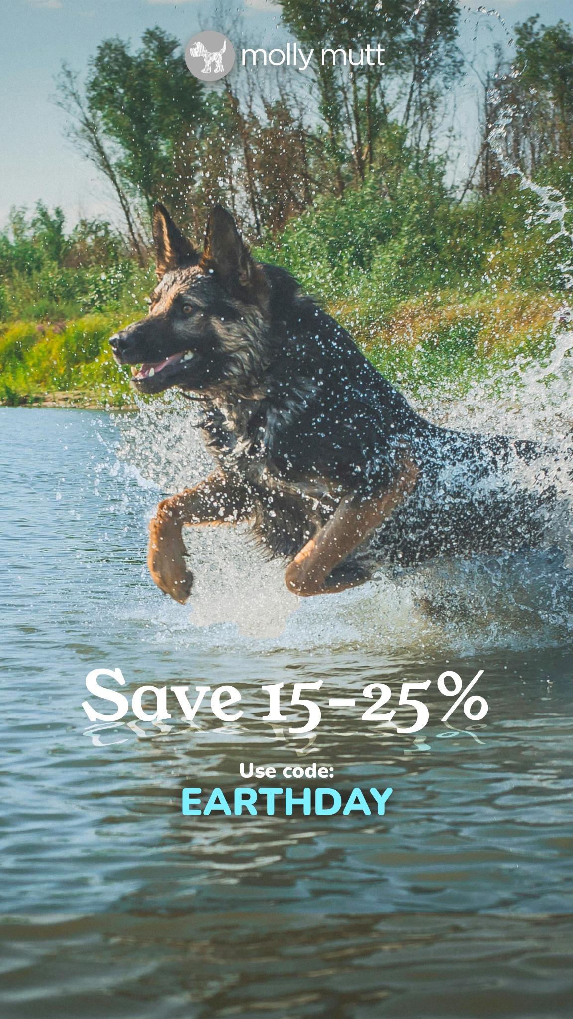Molly Mutt Facebook ad