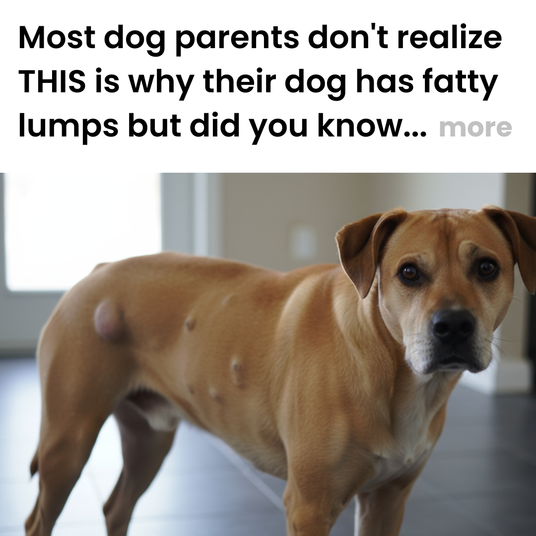 Healthy Dog Insider Facebook ad