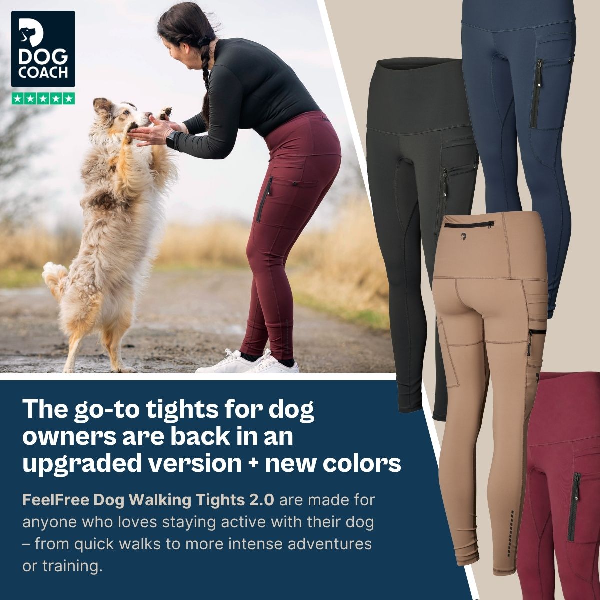 DogCoach Facebook ad