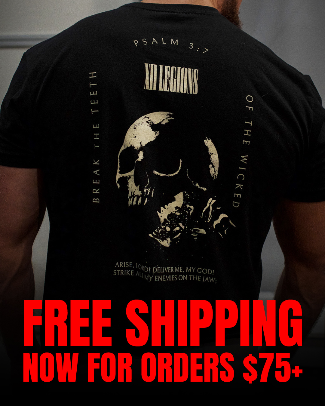 XII Legions Facebook ad: The Psalm 3:7 Collection