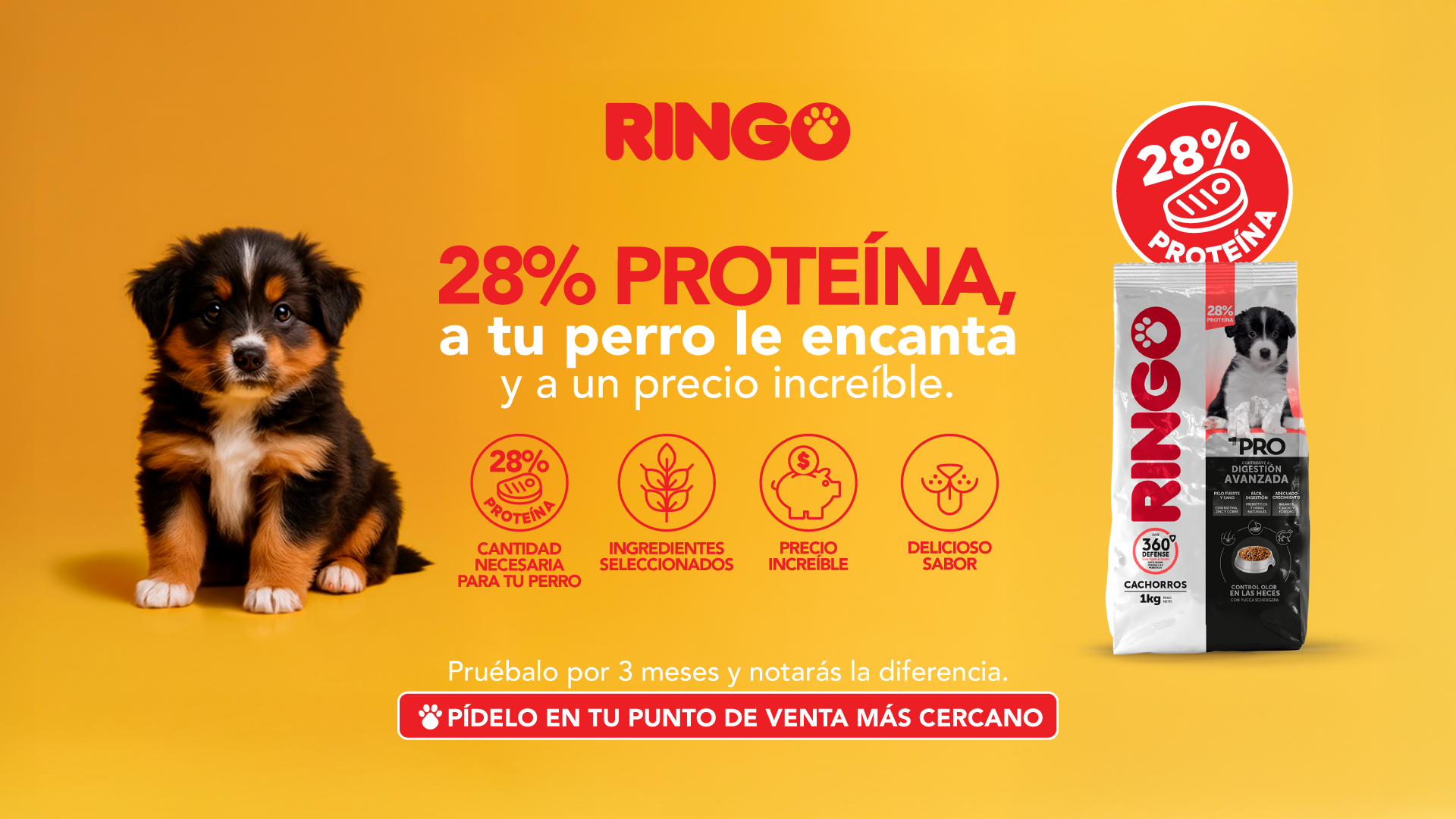 EfectoRingo Facebook ad