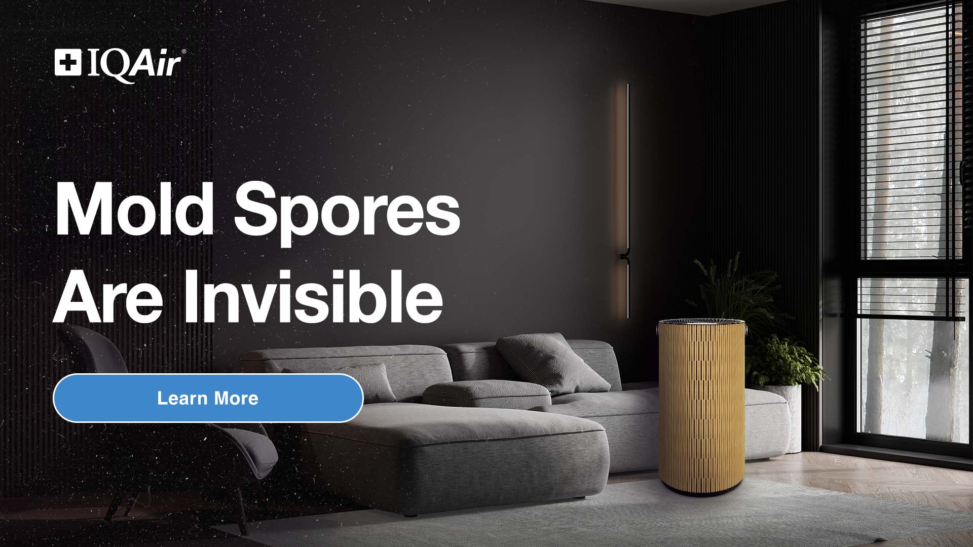 IQAir Facebook ad